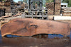 Oregon Black Walnut Slab 090924-5