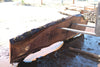 Oregon Black Walnut Slab 090924-5