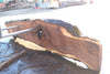 Oregon Black Walnut Slab 090924-5