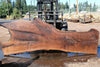 Oregon Black Walnut Slab 090924-6