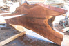 Oregon Black Walnut Slab 090924-6