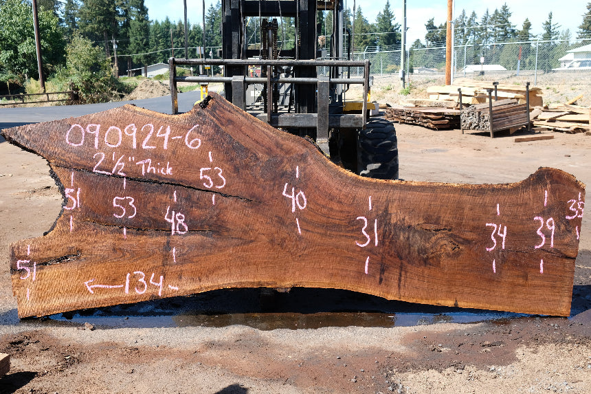 Oregon Black Walnut Slab 090924-6