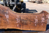 Oregon Black Walnut Slab 090924-6