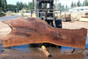 Oregon Black Walnut Slab 090924-7