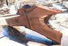 Oregon Black Walnut Slab 090924-7