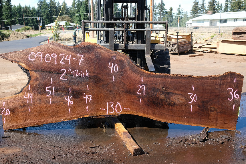 Oregon Black Walnut Slab 090924-7