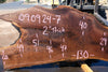 Oregon Black Walnut Slab 090924-7