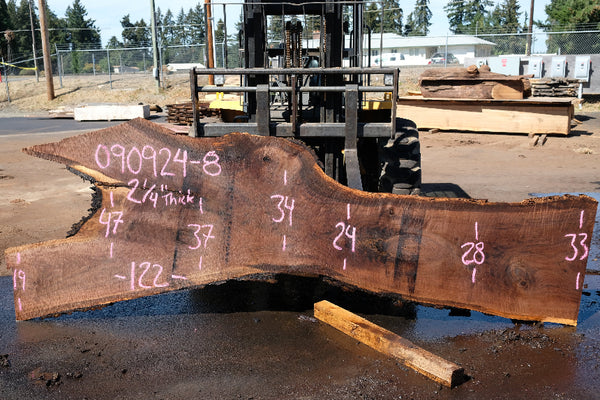 Oregon Black Walnut Slab 090924-8