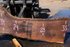 Oregon Black Walnut Slab 090924-8
