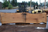 Oregon White Oak Slab 091224-01