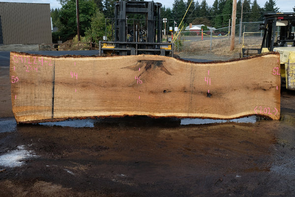 Oregon White Oak Slab 091224-02