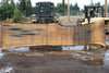 Oregon White Oak Slab 091224-03