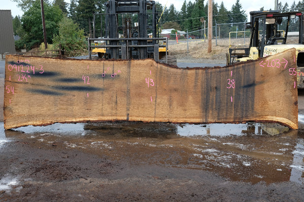 Oregon White Oak Slab 091224-03