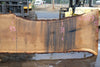 Oregon White Oak Slab 091224-03
