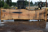 Oregon White Oak Slab 091224-04