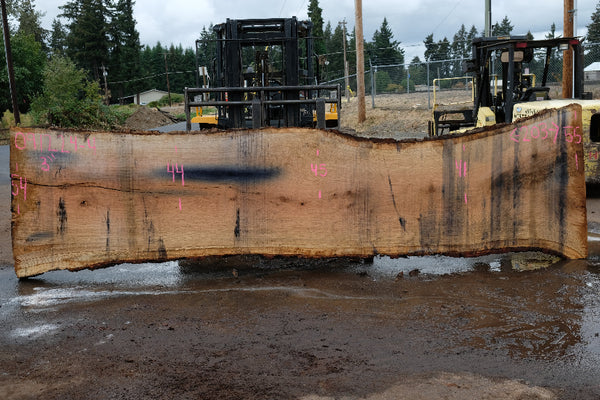 Oregon White Oak Slab 091224-04