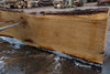 Oregon White Oak Slab 091224-05