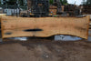 Oregon White Oak Slab 091224-06
