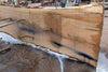 Oregon White Oak Slab 091224-06