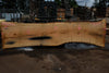 Oregon White Oak Slab 091224-06