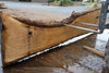 Oregon White Oak Slab 091224-07