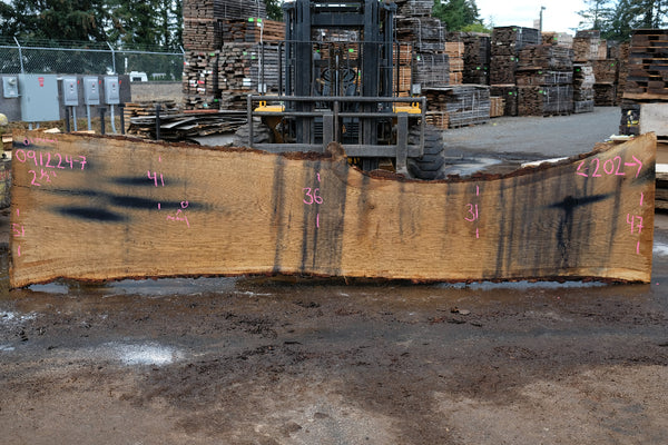 Oregon White Oak Slab 091224-07