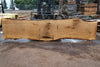 Oregon White Oak Slab 091224-08