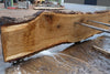 Oregon White Oak Slab 091224-08