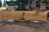Oregon White Oak Slab 091224-08