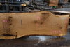 Oregon White Oak Slab 091224-08