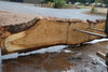 Oregon White Oak Slab 091224-09
