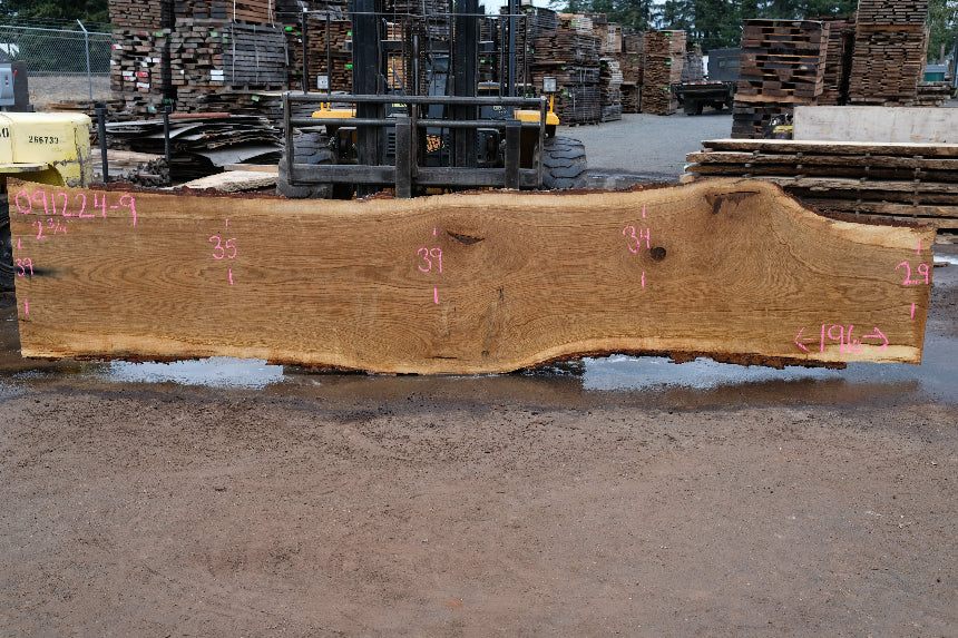 Oregon White Oak Slab 091224-09