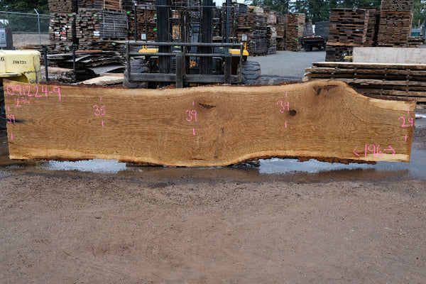 Oregon White Oak Slab 091224-09