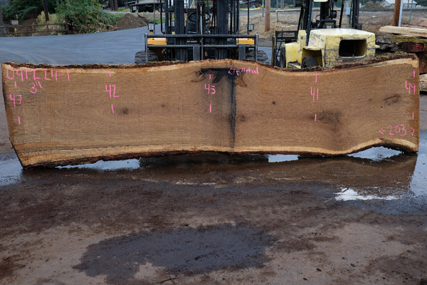 Oregon White Oak Slab 091224-01