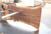 Oregon Black Walnut Slab 091924-1