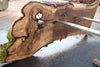 Oregon Black Walnut Slab 091924-1