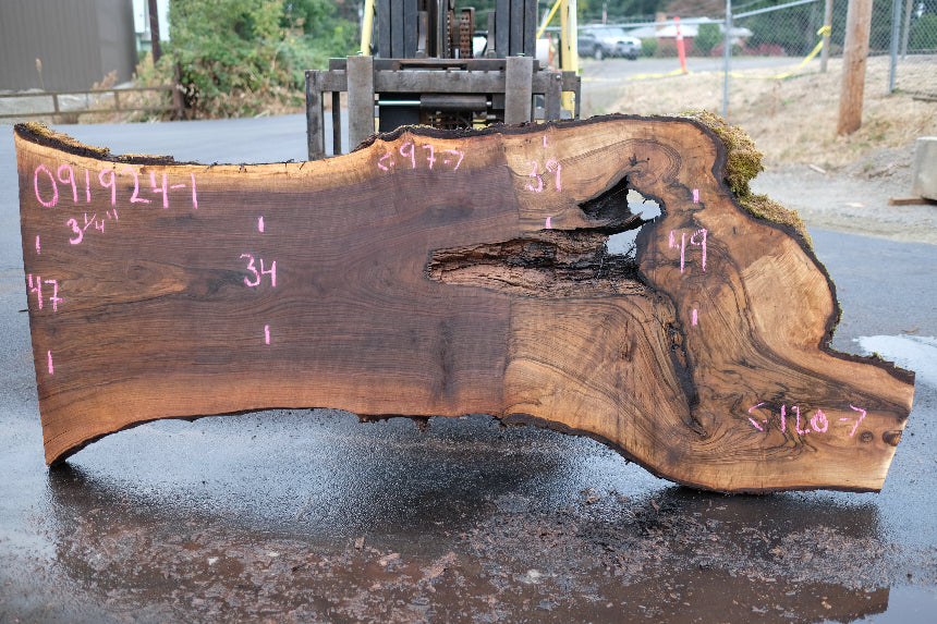 Oregon Black Walnut Slab 091924-1