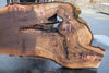 Oregon Black Walnut Slab 091924-1