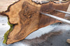 Oregon Black Walnut Slab 091924-2