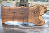 Oregon Black Walnut Slab 091924-3
