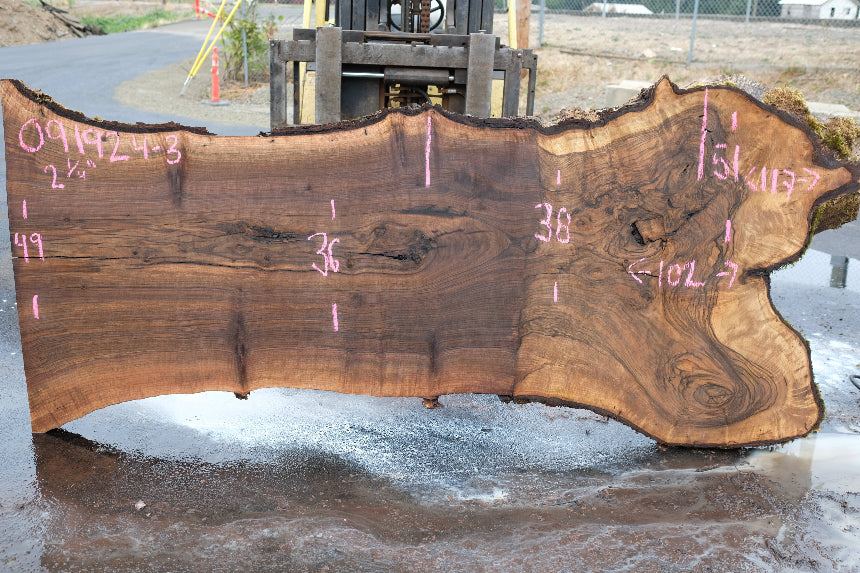 Oregon Black Walnut Slab 091924-3