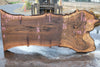 Oregon Black Walnut Slab 091924-3