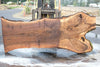 Oregon Black Walnut Slab 091924-4