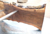 Oregon Black Walnut Slab 091924-4