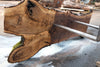 Oregon Black Walnut Slab 091924-4