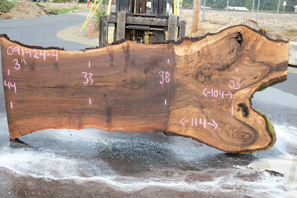 Oregon Black Walnut Slab 091924-4