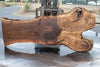 Oregon Black Walnut Slab 091924-5
