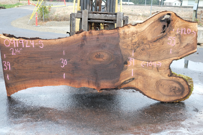 Oregon Black Walnut Slab 091924-5