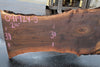 Oregon Black Walnut Slab 091924-5