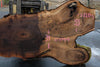 Oregon Black Walnut Slab 091924-5
